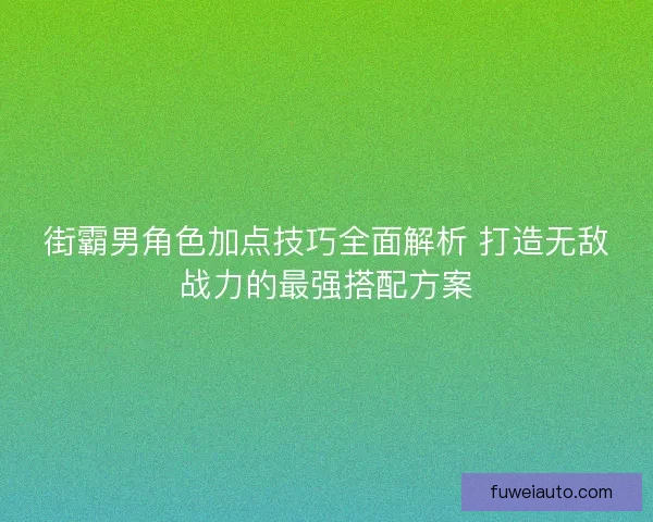 街霸男角色加点技巧全面解析 打造无敌战力的最强搭配方案