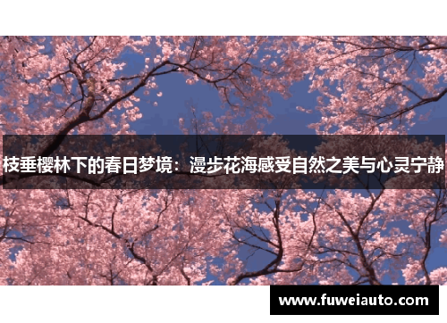 枝垂樱林下的春日梦境：漫步花海感受自然之美与心灵宁静